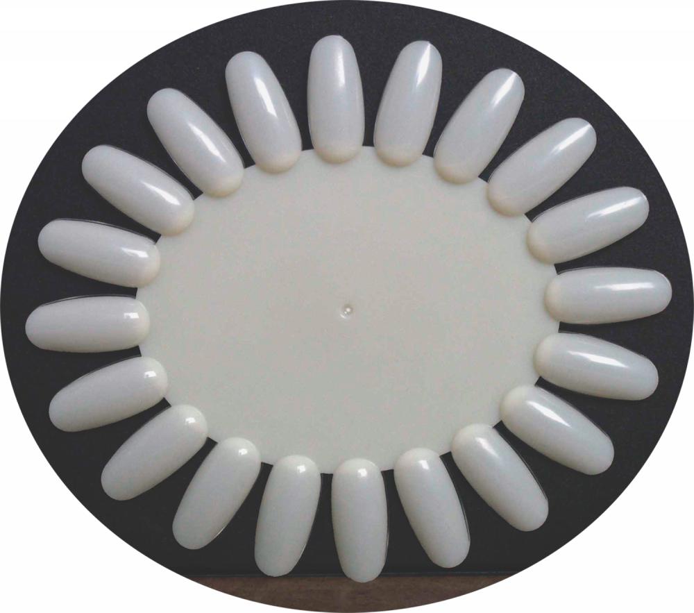 Colour Chart | 20-Tip Oval Polish Display - Pack of 10 - CM Nails & Beauty Supply