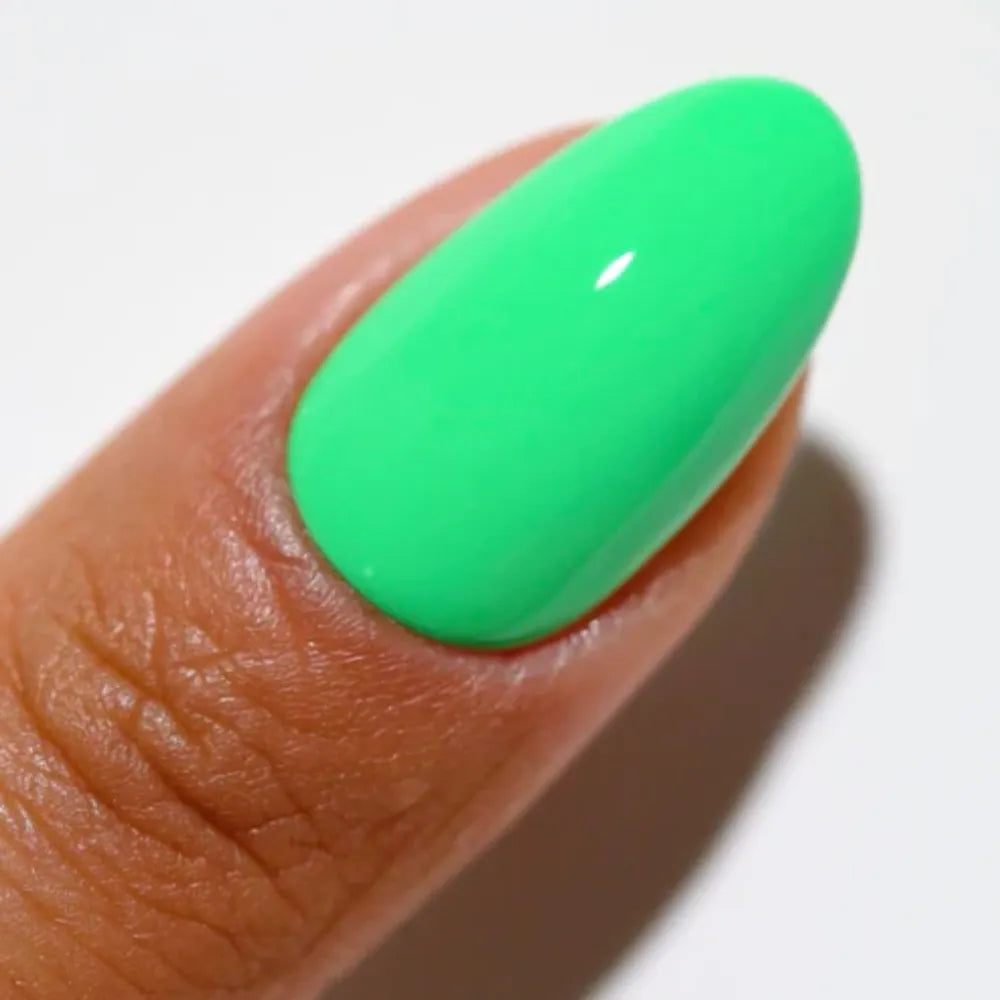 DC Palm Tree #2537 - CM Nails & Beauty Supply