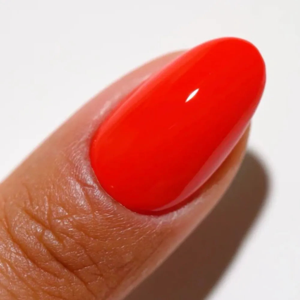 DC Ladybug #2543 - CM Nails & Beauty Supply