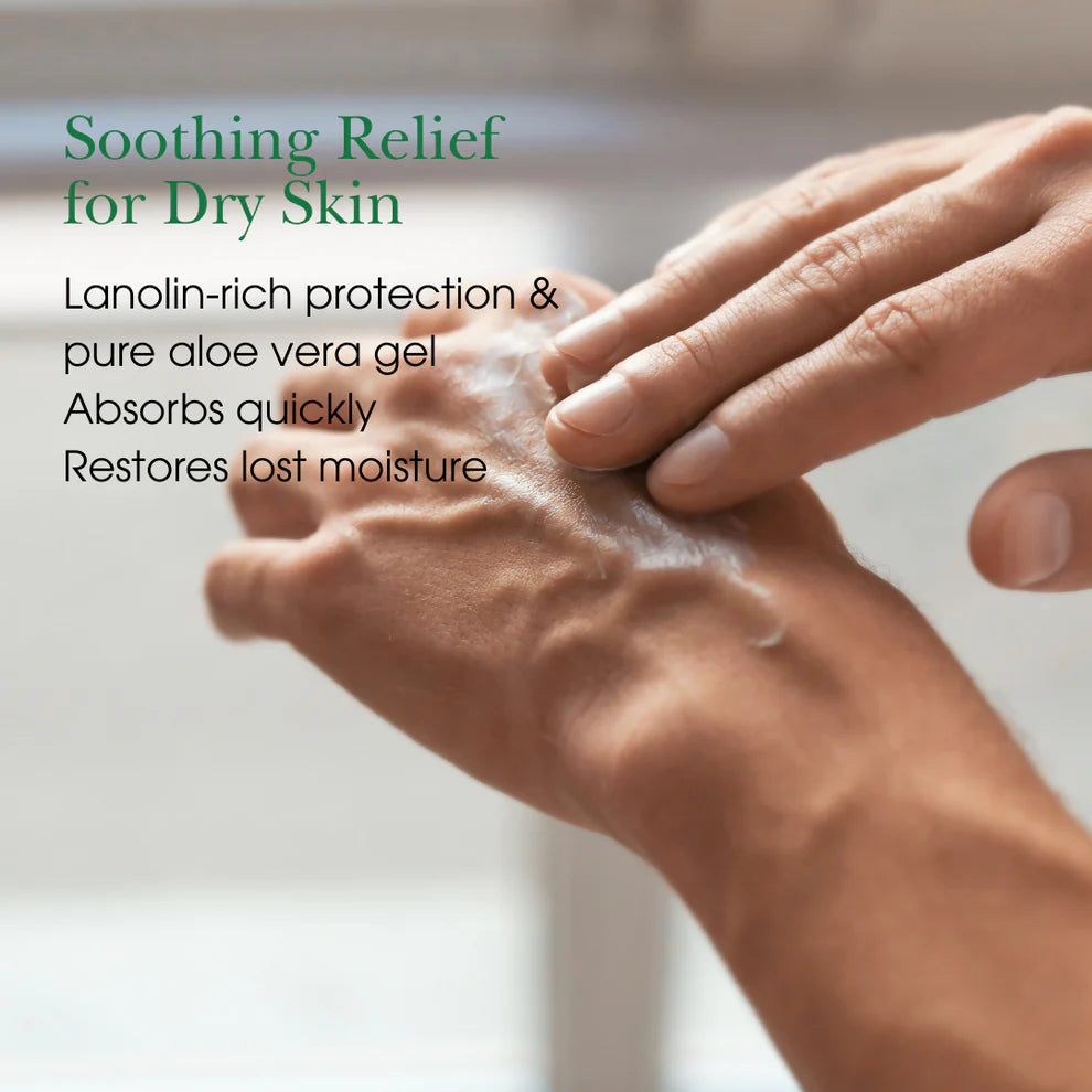 Aloe vera hand and body lotion in 1 gallon size for salons and spas