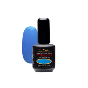 65 Blueberry | Bio Seaweed Gel® - CM Nails & Beauty Supply